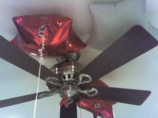 Balloons in Fan
