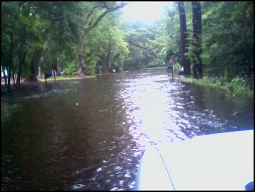 Frederica Road, St. Simons Island