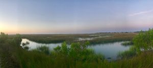 village-creek-landing-ssi