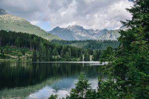 Photo by Marek Levak from Pexels
