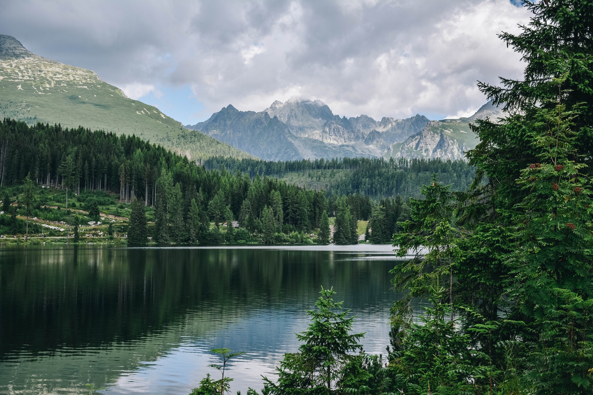 Photo by Marek Levak from Pexels