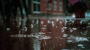 rain drops